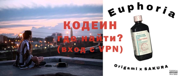 ГАЛЛЮЦИНОГЕННЫЕ ГРИБЫ Козловка