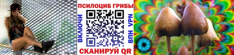 Галлюциногенные грибы ЛСД  Кинешма 